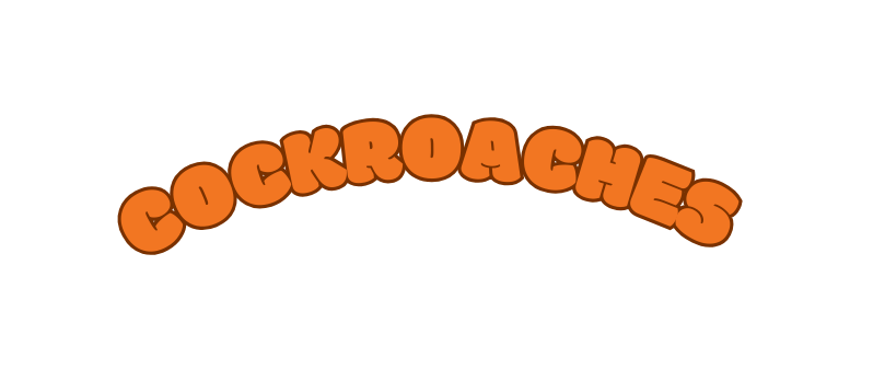 cockroaches